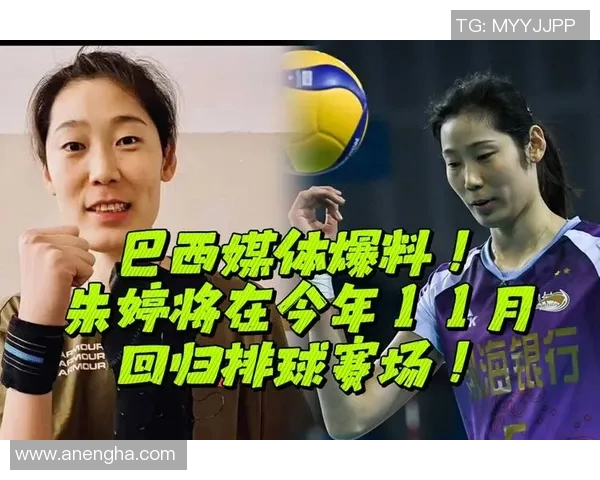 张军的排球之路:从赛场到人生的精彩对话