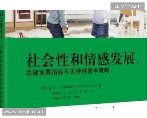 成都排球队的运营模式与发展策略深度解析