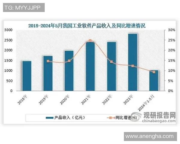 武汉排球队的转型之路与未来发展趋势深度解析